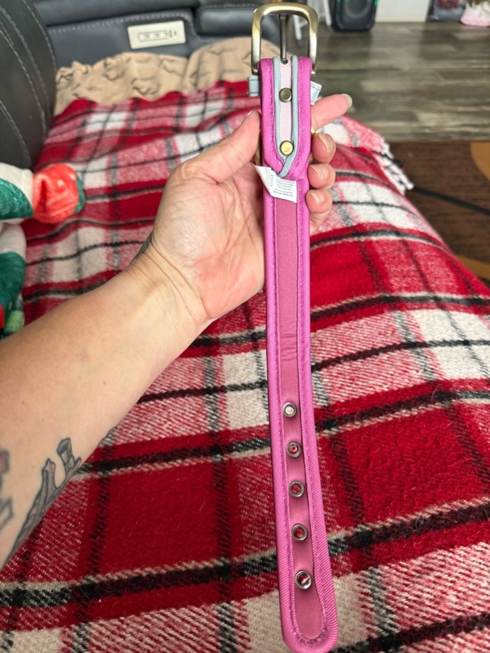 Small dog collar- Classic Buckle